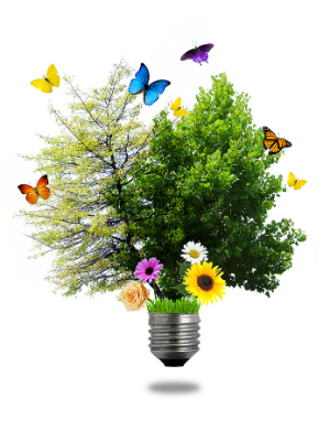 Becoming Greener